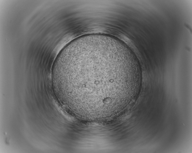 X0000102771234200809021022