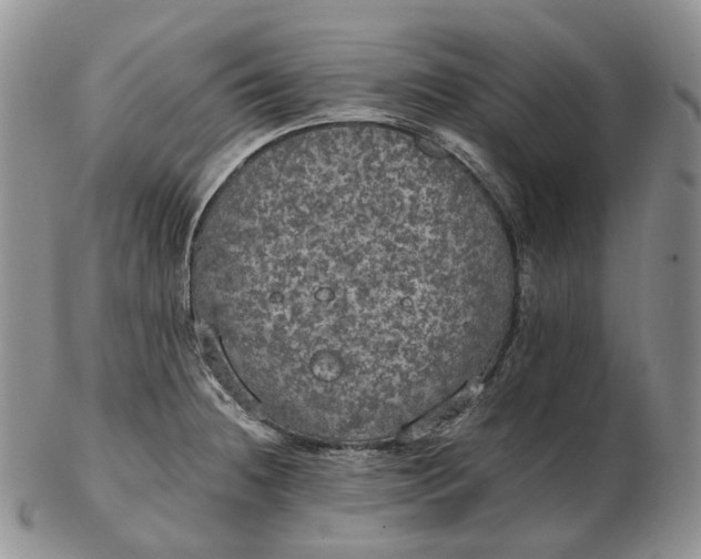 X0000102771236200809021022