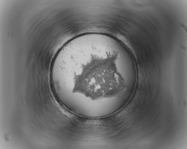 X0000102771237200809021022