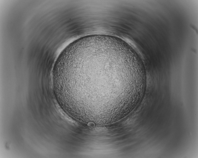 X0000102771238200809021022