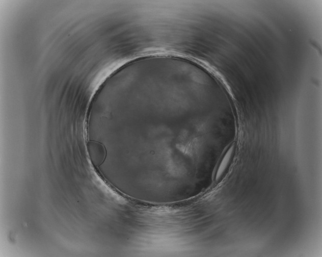 X0000102771239200809021023