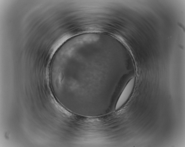 X0000102771243200809021023