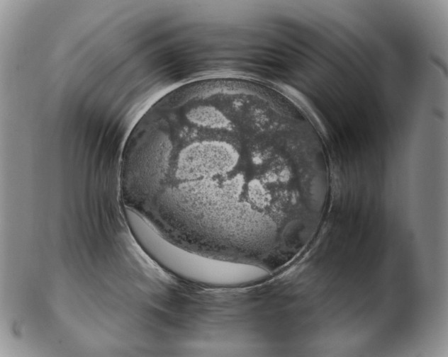 X0000102771244200809021023