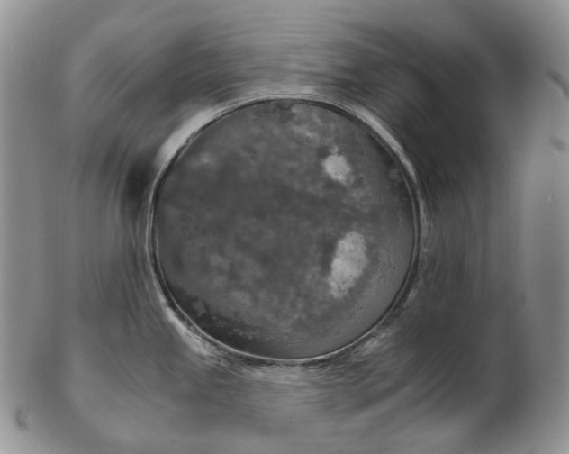 X0000102771245200809021023