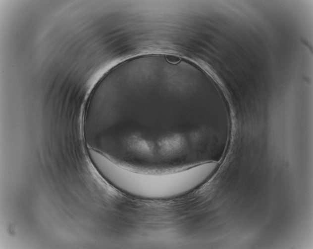 X0000102771246200809021023