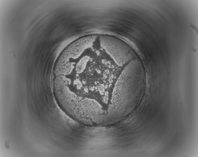 X0000102771247200809021023