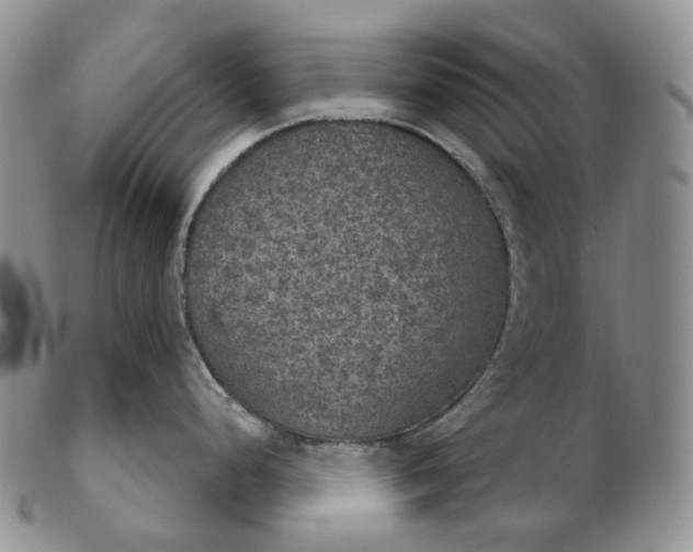 X0000102771248200809021023