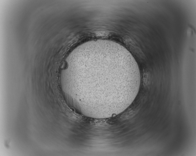 X0000102771249200809021022