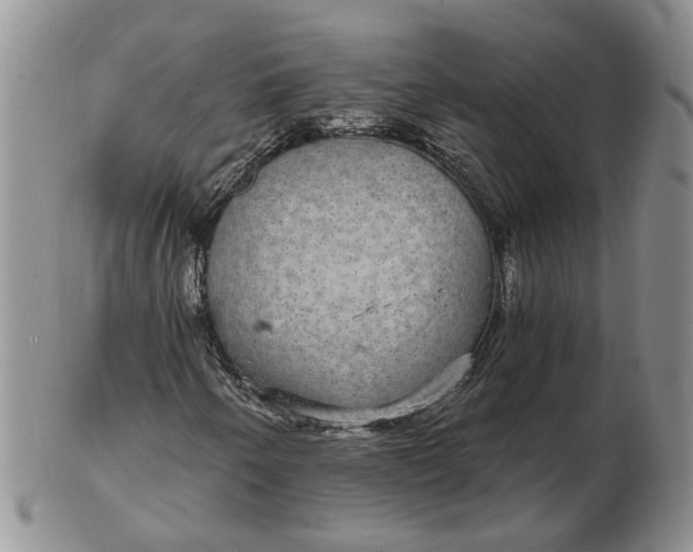 X0000102771250200809021022