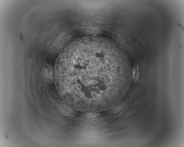 X0000102771251200809021022