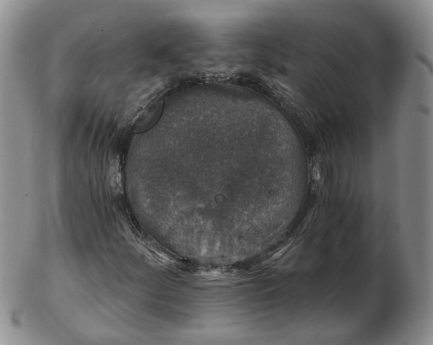 X0000102771252200809021022