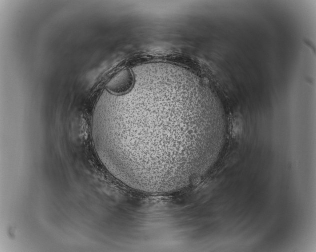 X0000102771253200809021022