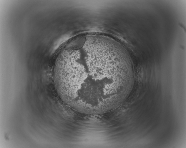 X0000102771255200809021022