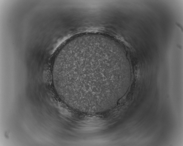 X0000102771256200809021022