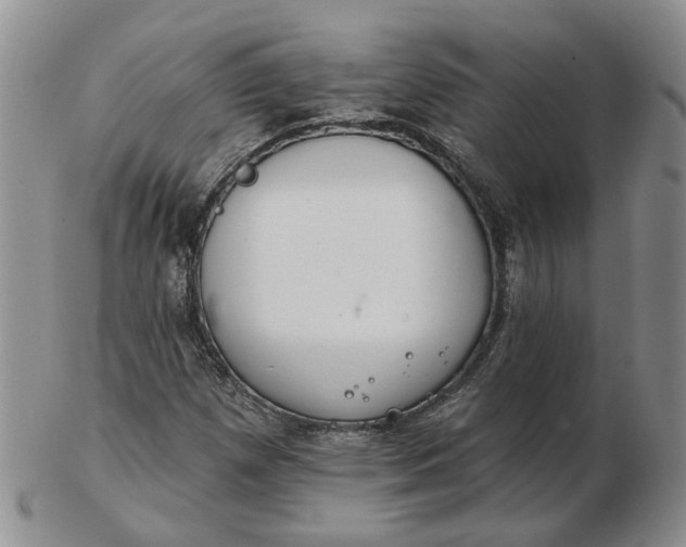 X0000102771257200809021022