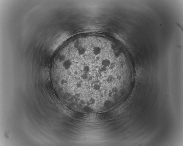 X0000102771259200809021022