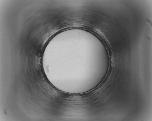 X0000102771260200809021022