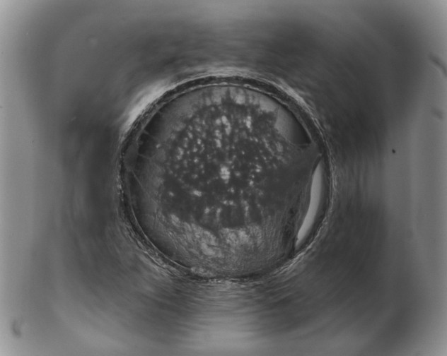 X0000102771263200809021022