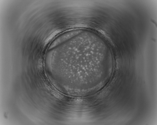 X0000102771266200809021022