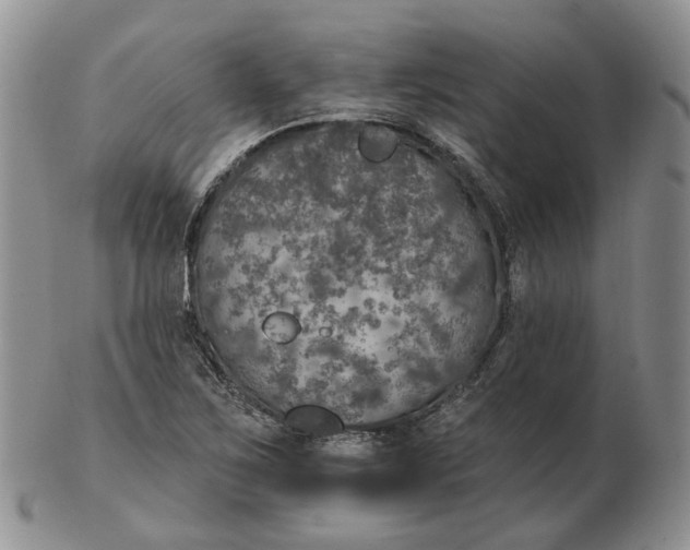 X0000102771267200809021022