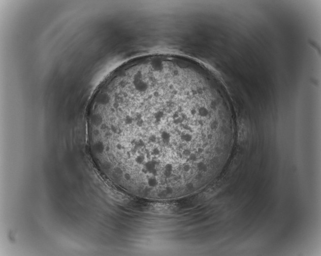 X0000102771271200809021022