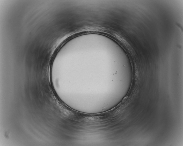 X0000102771272200809021022