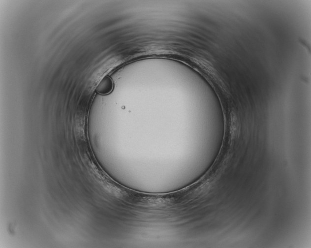 X0000102771273200809021022