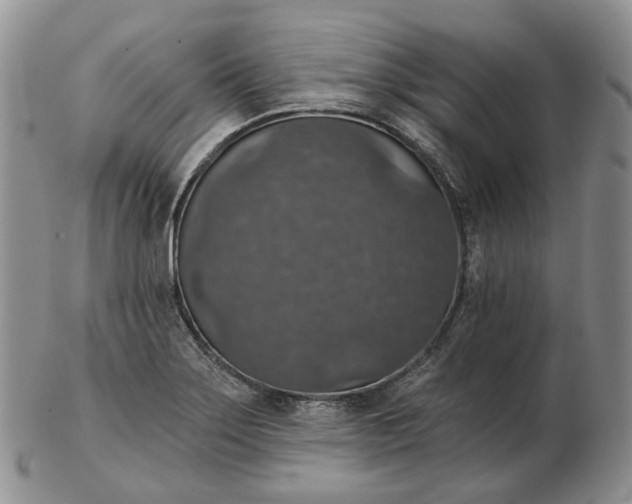 X0000102771275200809021022