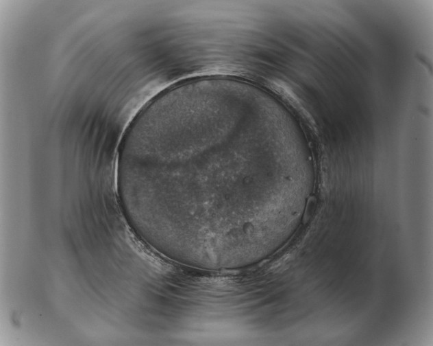 X0000102771276200809021022