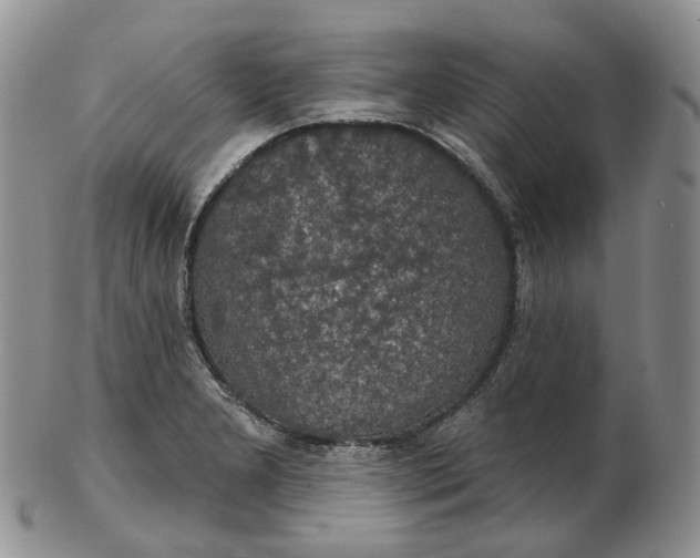 X0000102771277200809021021