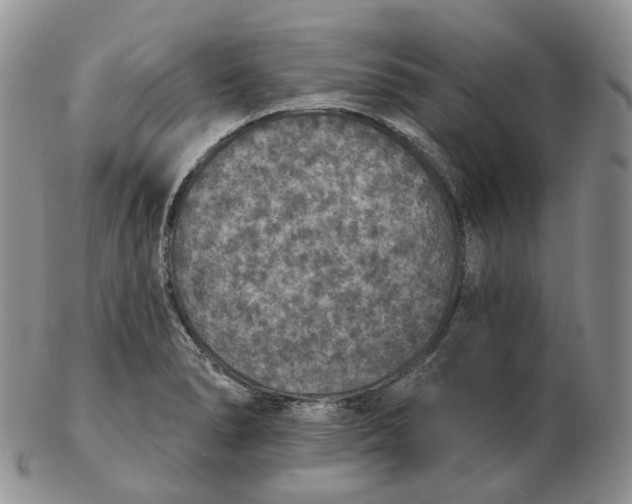 X0000102771278200809021021