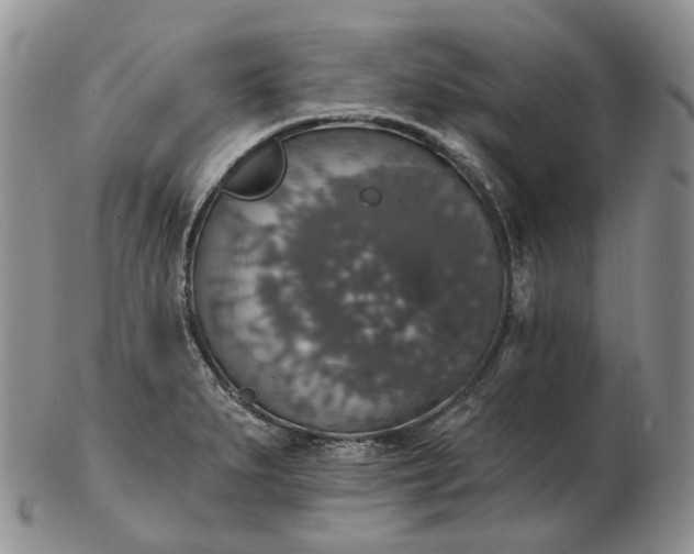 X0000102771279200809021021