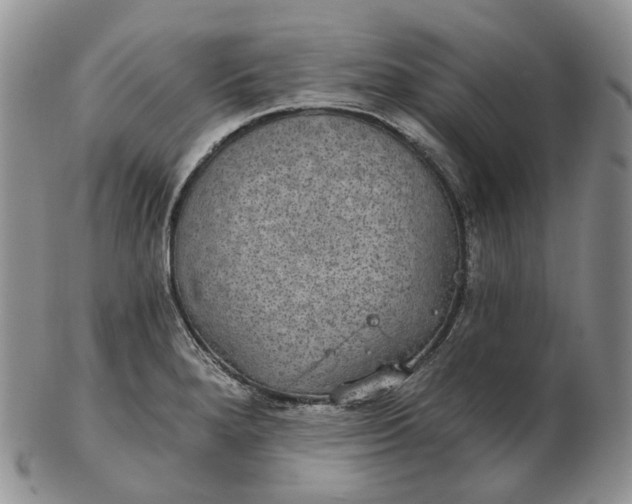 X0000102771280200809021021