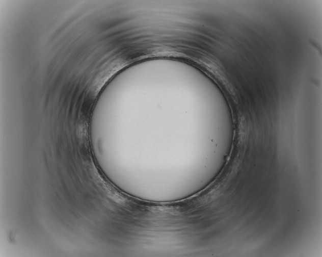 X0000102771281200809021021