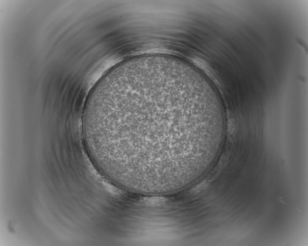 X0000102771282200809021021