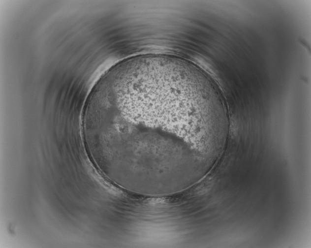 X0000102771283200809021021