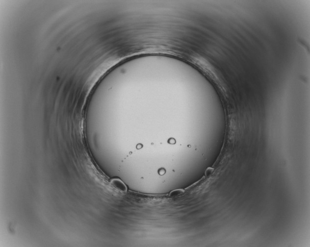 X0000102771284200809021021