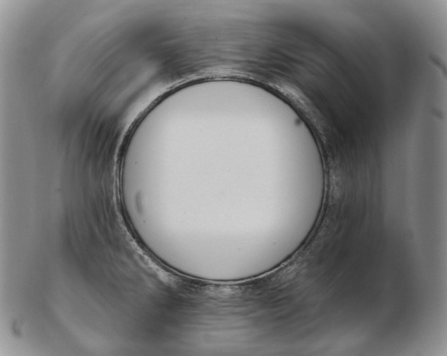 X0000102771286200809021021