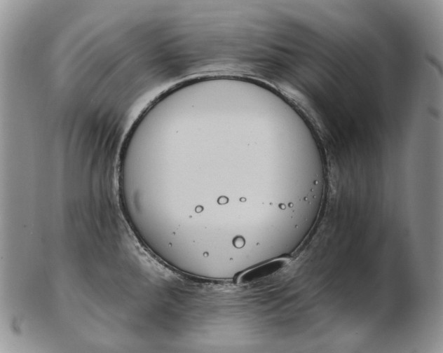 X0000102771288200809021021