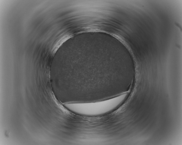 X0000102771289200809021021