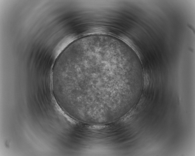 X0000102771290200809021021