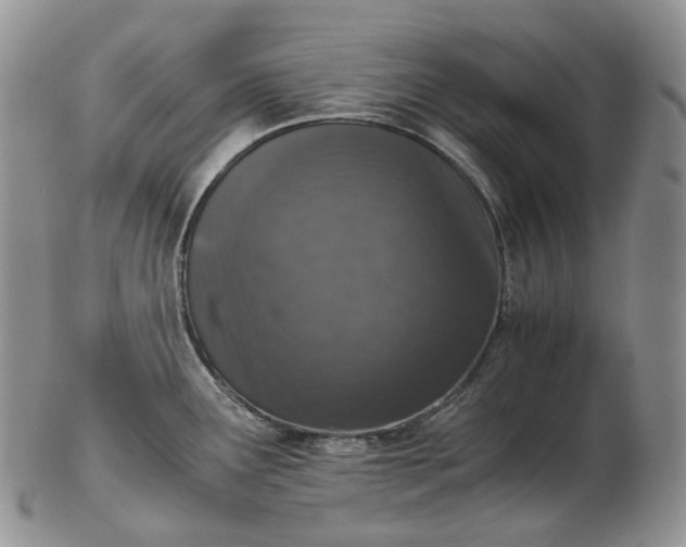 X0000102771291200809021021