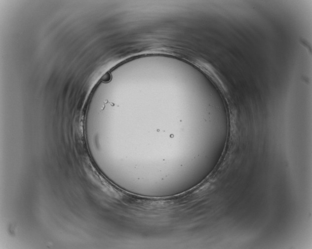 X0000102771292200809021021