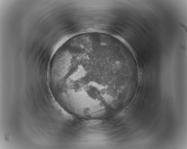 X0000102771294200809021021