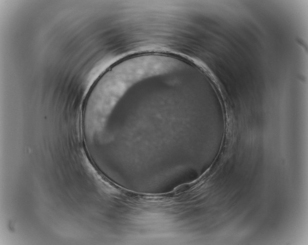 X0000102771295200809021021