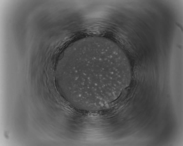 X0000102771297200809021021