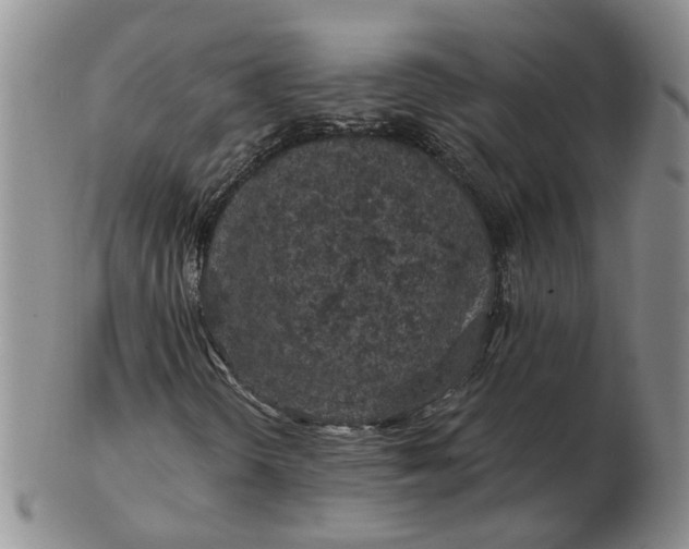 X0000102771298200809021021