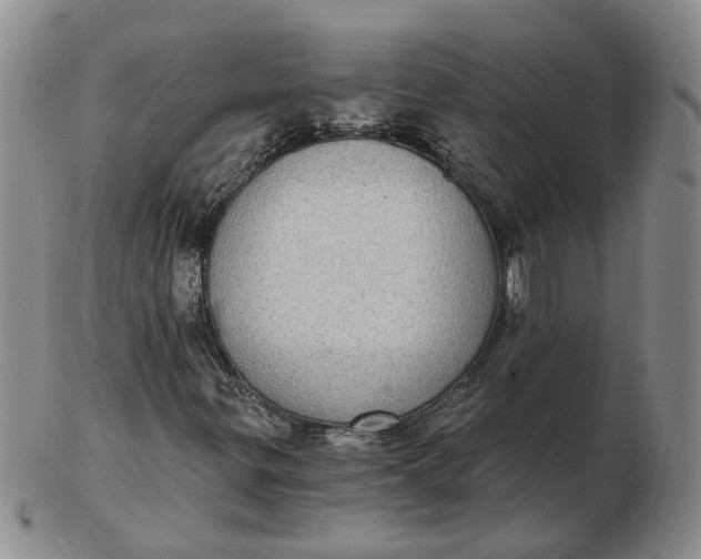 X0000102771299200809021021