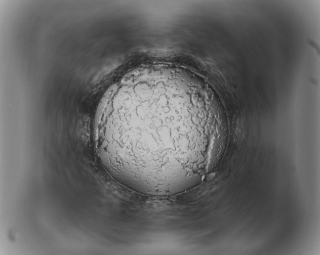 X0000102771301200809021021