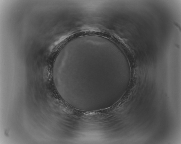 X0000102771303200809021021